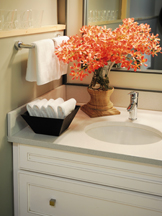 DM Guest Bath1